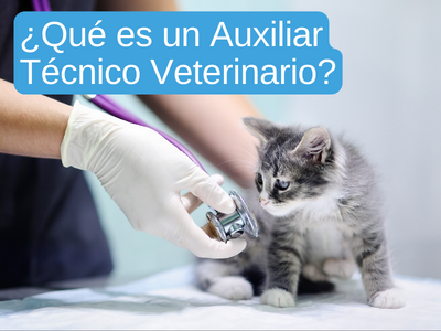 Veterinaria