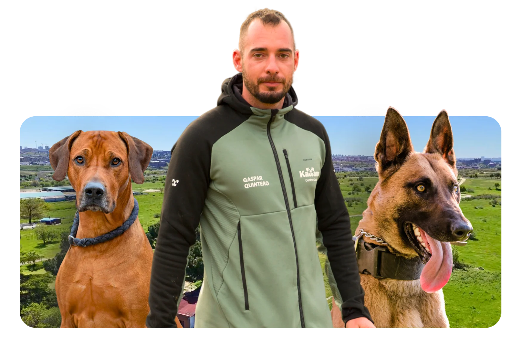 Banner del Curso de Adiestramiento Canino