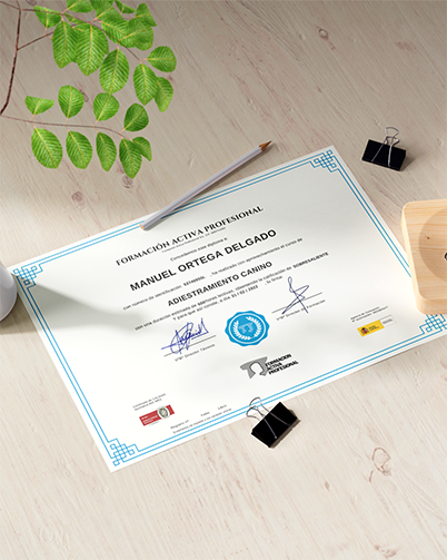 Diploma del Curso de Adiestramiento Canino