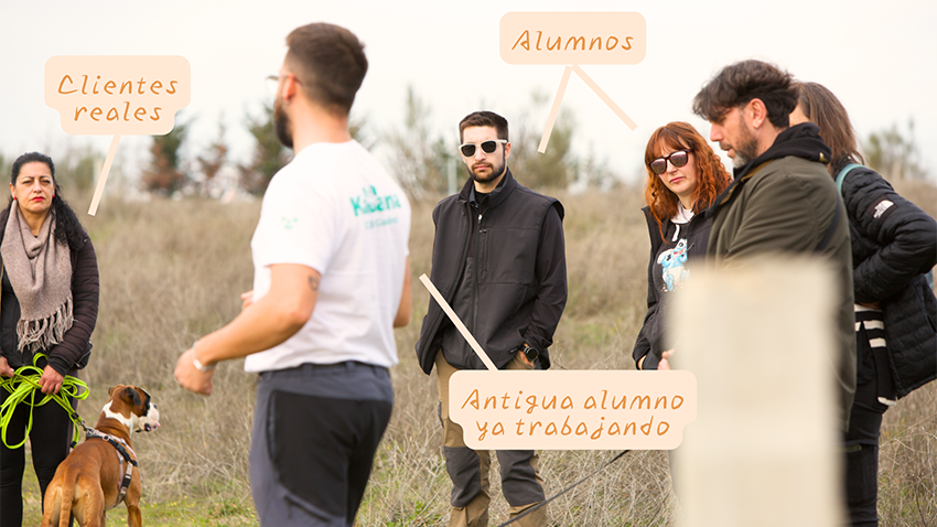 imagen 15
