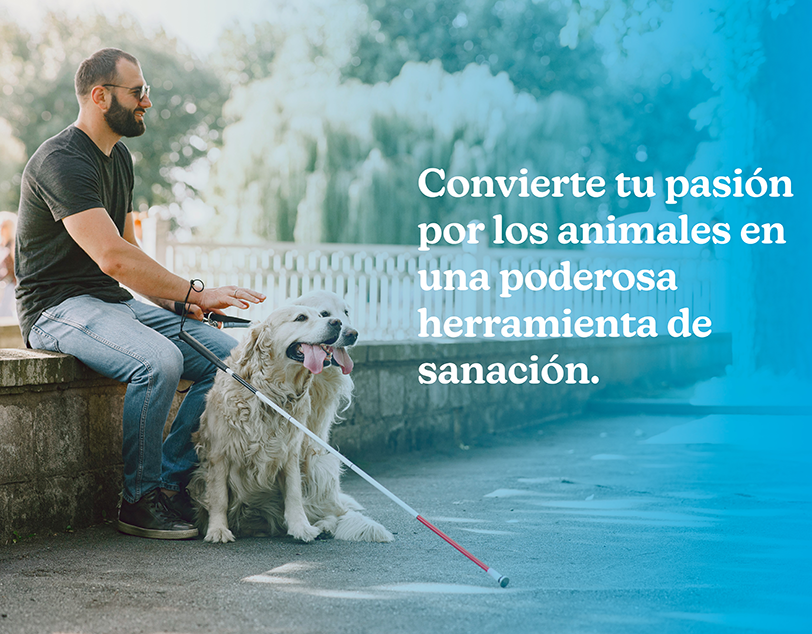 Convierte tu pasión por los animales en una poderosa herramienta de sanación