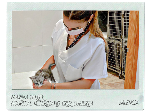 Estudiante del curso de Auxiliar Técnico Veterinario cursando prácticas